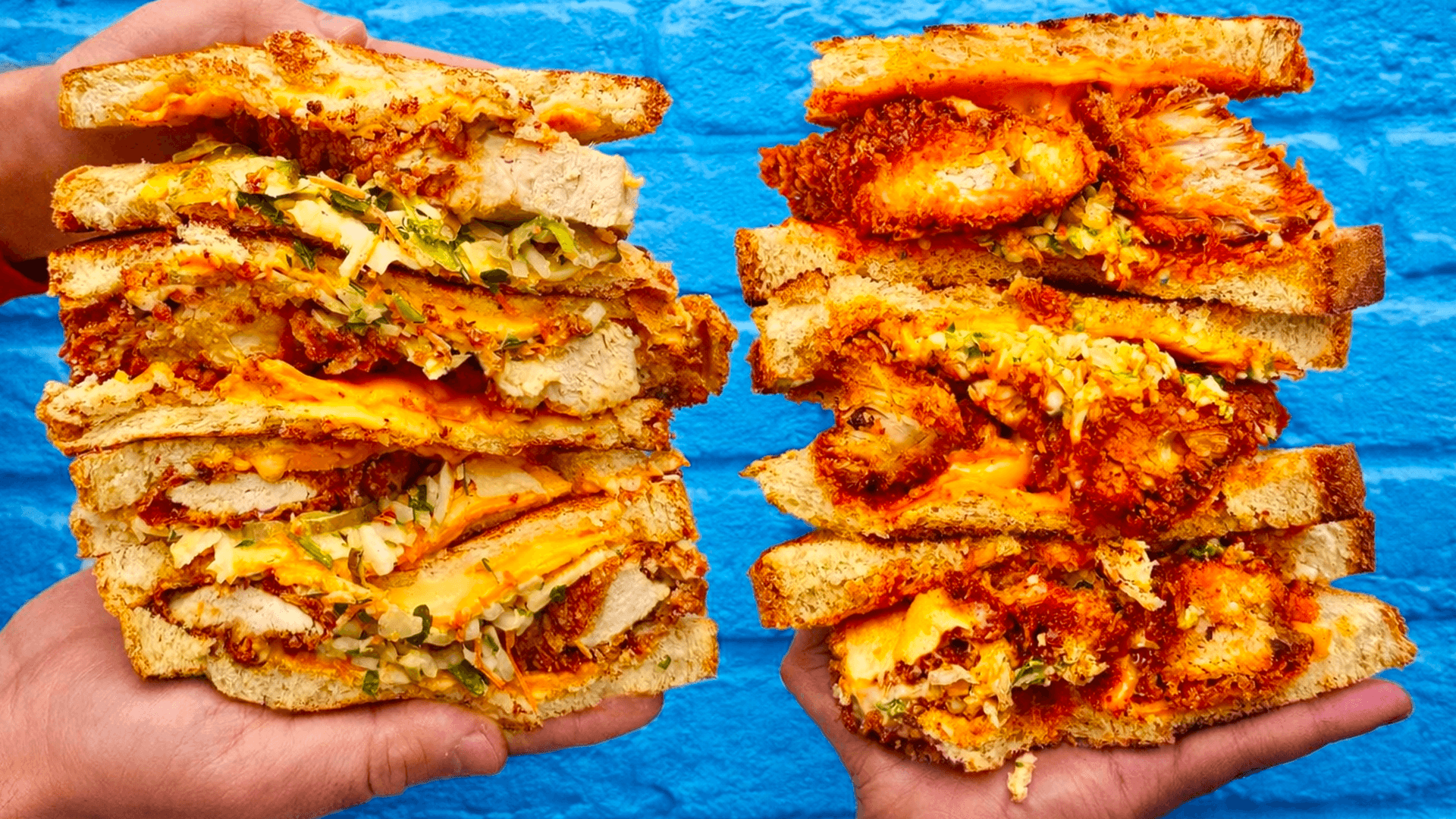 Birdz slide 5