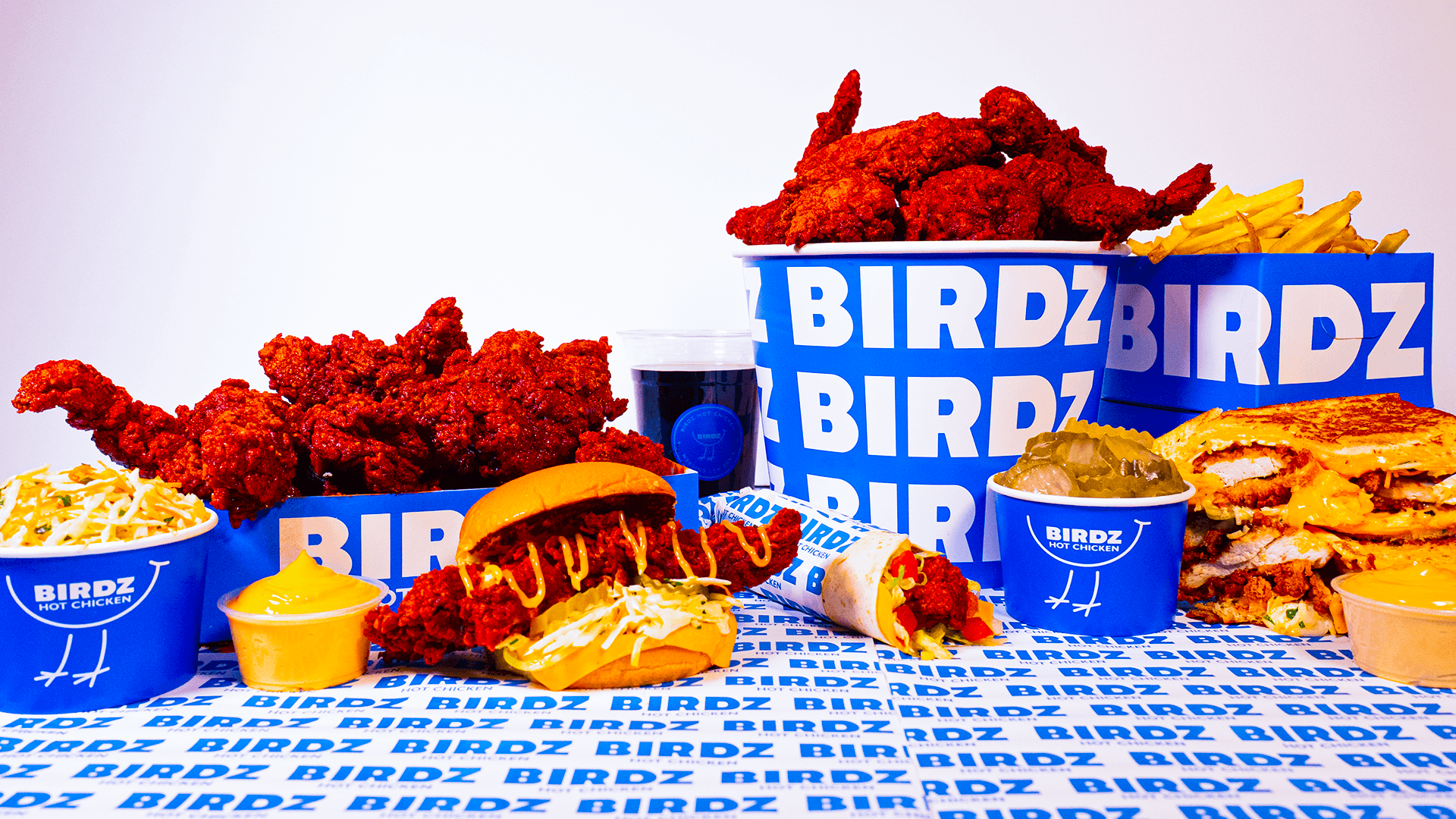 Birdz slide 7